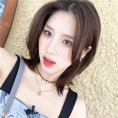 鸟儿们的奇幻冒险